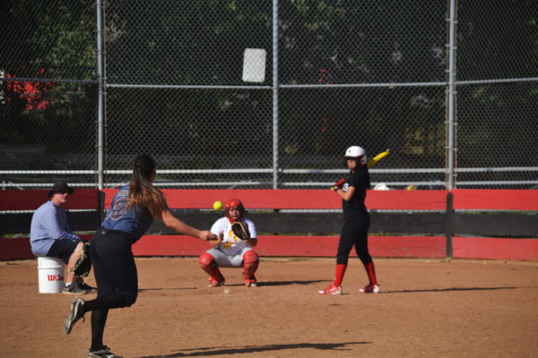 Softball plans to hit this season out of the park