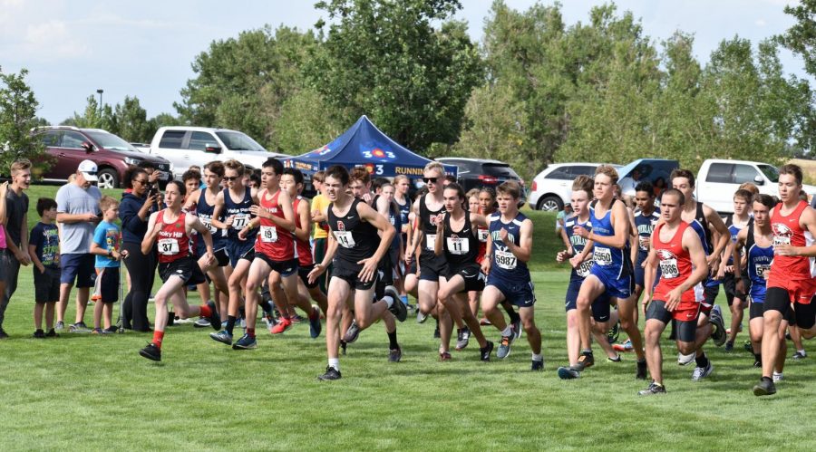 This was the start a boys race in the Aurora City Championship meet. The meet took place on August 22nd. (Mary Macleay)