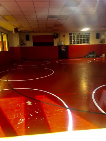 Three Rangeview wrestlers are in the state tournament, which starts tonight
