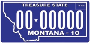 What License Plates Look Like in All 50 US States