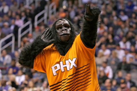 Lids The Suns Gorilla Phoenix Suns 12'' x 12'' Minimalist Mascot