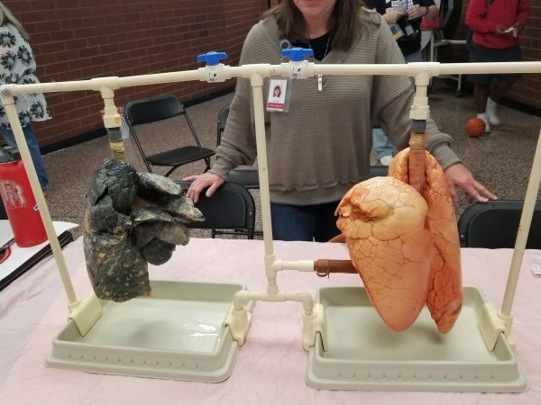 Pig lungs that have been damaged by smoke (left) and healthy pig lungs (right) displayed at a booth in the Commons for Rangeviews Vape Out. 