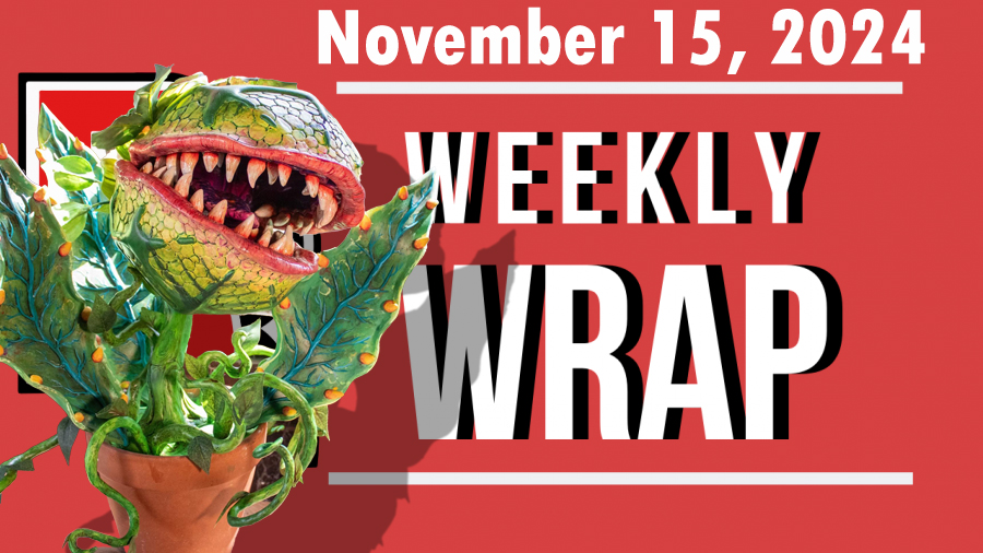 WEEKLY WRAP NOVEMBER 15, 2024