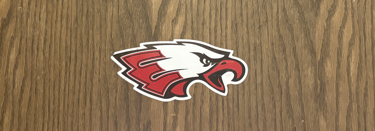 OP-ED: Eaglecrest Bumper Sticker