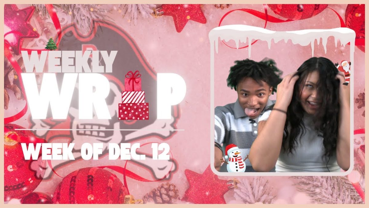 HAPPY HOLIDAYS! | Weekly Wrap 12/12/15